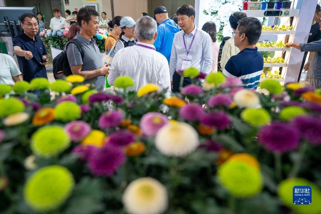 402.ocm永利手机网站